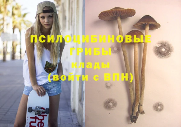 твердый Липки