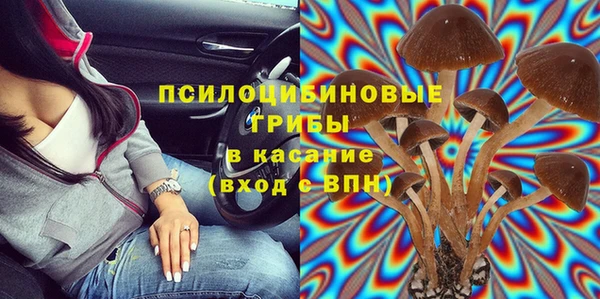 твердый Липки
